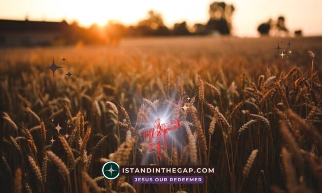Your Harvest Is Coming: A Daily Devotional (Galatians 6:9)