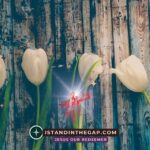 A Fourth Man: A Daily Devotional (Daniel 3:25)