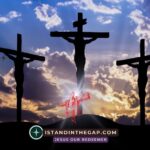 Bought Back: A Daily Devotional (Hosea 3:2)