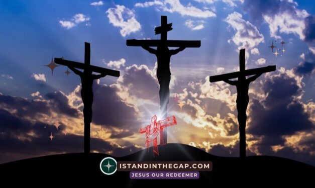 Bought Back: A Daily Devotional (Hosea 3:2)