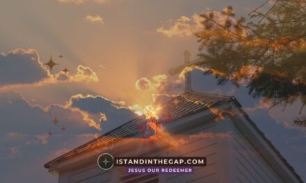 Hidden in Him: A Daily Devotional (Deuteronomy 32:10)
