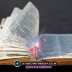 Praying His Will: A Daily Devotional (1 John 5:14)