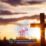 We Shall Be Like Him: A Daily Devotional (1 John 3:2)