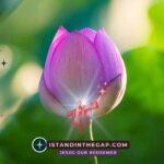Alert, Not Afraid: A Daily Devotional (1 Peter 5:8)