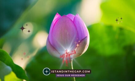 Alert, Not Afraid: A Daily Devotional (1 Peter 5:8)