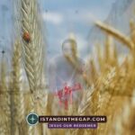Always Be Ready: A Daily Devotional (1 Peter 3:15)