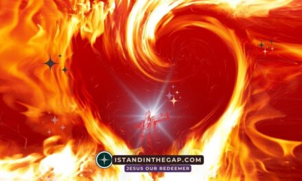 An Undivided Heart: A Daily Devotional (James 1:8)