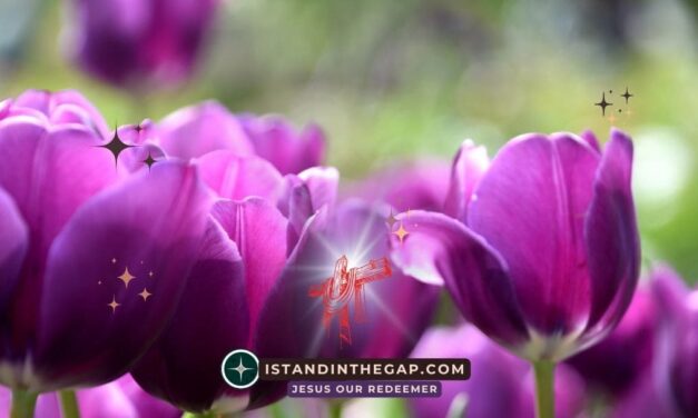 Blessed and Unafraid: A Daily Devotional (1 Peter 3:13-14)
