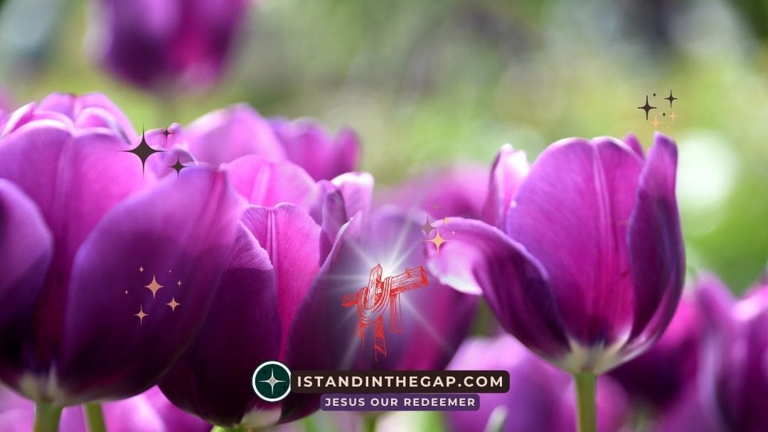 Blessed and Unafraid: A Daily Devotional (1 Peter 3:13-14)