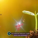 Born of Imperishable Seed: A Daily Devotional (1 Peter 1:23)