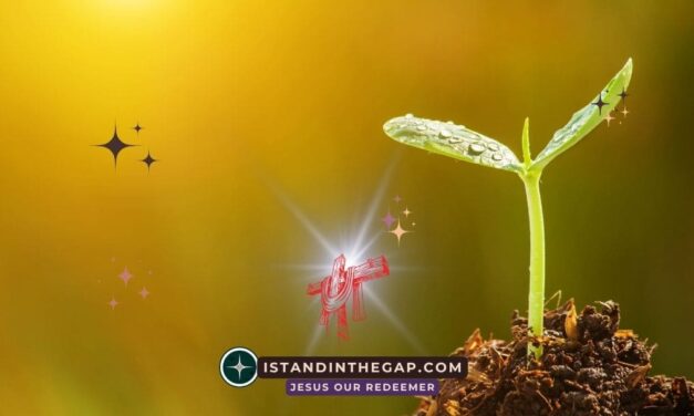 Born of Imperishable Seed: A Daily Devotional (1 Peter 1:23)