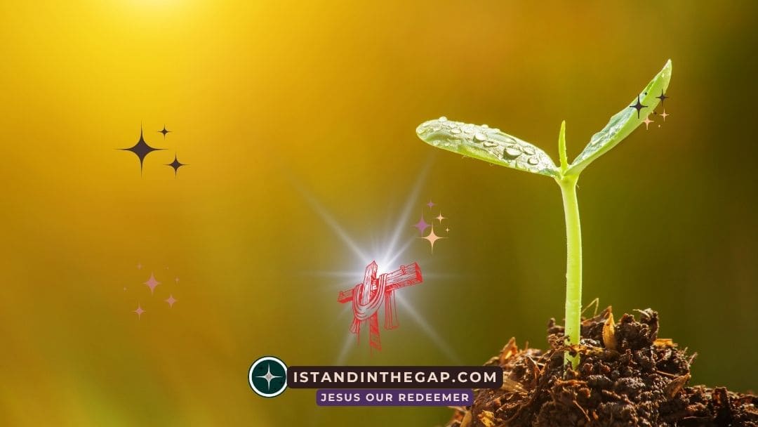 Born of Imperishable Seed: A Daily Devotional (1 Peter 1:23)