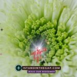 Faith That Works: A Daily Devotional (James 2:24)