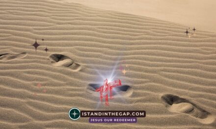 Following in His Steps: A Daily Devotional (1 Peter 2:20-21)