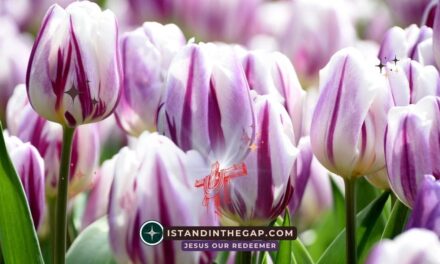 God’s Blessing Is Evident: A Daily Devotional (Genesis 24:31)