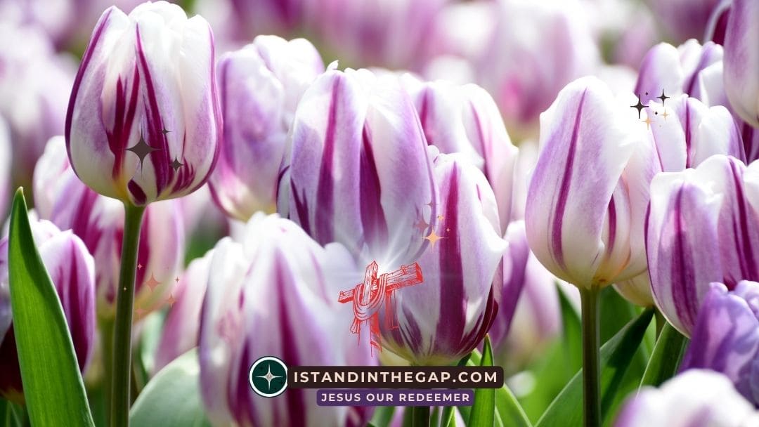 God’s Blessing Is Evident: A Daily Devotional (Genesis 24:31)