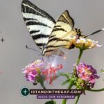 God’s Righteous Purpose: A Daily Devotional (Genesis 18:19)