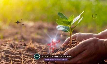 It’s Time to Begin: A Daily Devotional (Ezra 3:8)