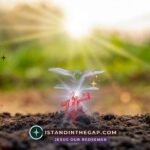 Seek Good Not Evil: A Daily Devotional (Amos 5:14)