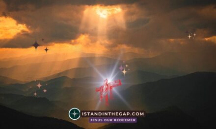 The Spirit of Glory Rests on You: A Daily Devotional (1 Peter 4:14)