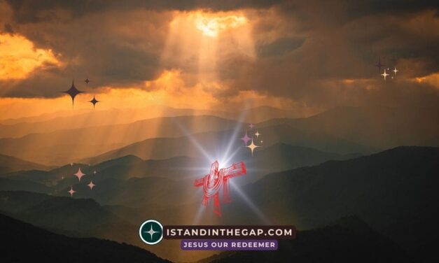 The Spirit of Glory Rests on You: A Daily Devotional (1 Peter 4:14)