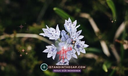 Heap of Witness: A Daily Devotional (Genesis 31:48)