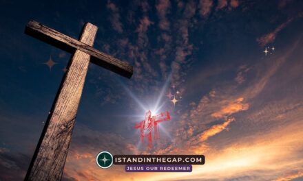 Joy in Salvation: A Daily Devotional (Psalm 35:9)