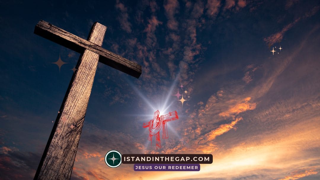Joy in Salvation: A Daily Devotional (Psalm 35:9)